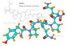 Glutenska intoleranca/Celiakija/Hashimoto tiroiditis