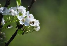 Ali že občutite spomladansko utrujenost? Ali že občutite spomladansko utrujenost?